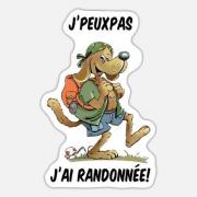 Randonnee chien
